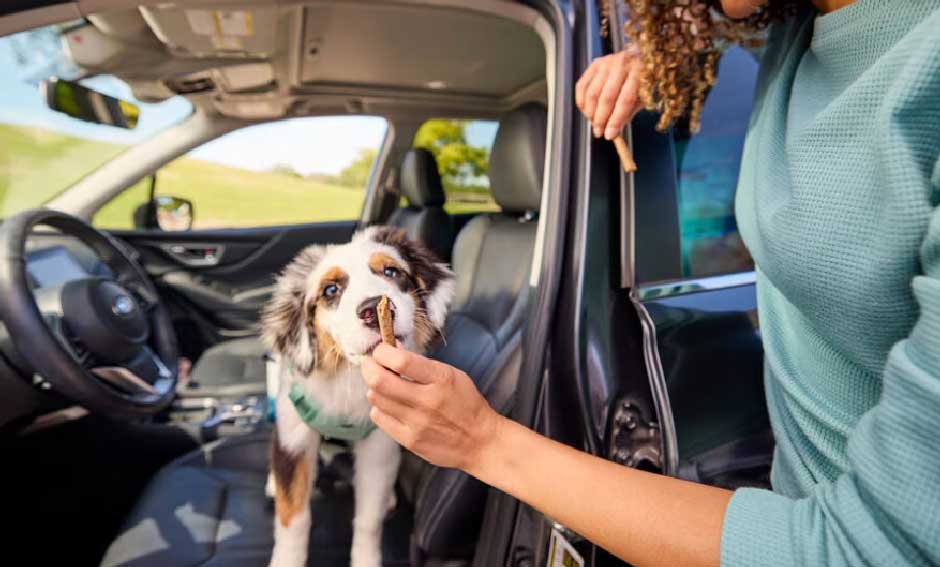 Five Mistakes That Make Car Anxiety Worse