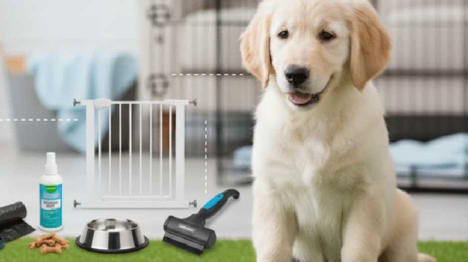 Potty Training Puppy Schedule 
