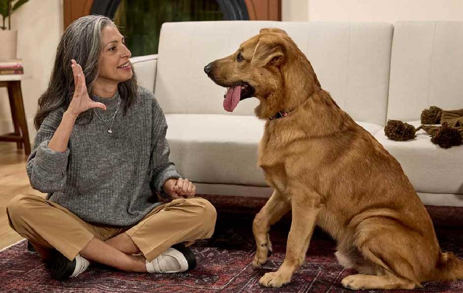 Teach Quiet When Your Dog Can Still Think