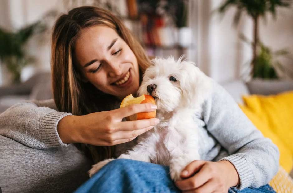 The Most Dangerous Fruits for Dogs