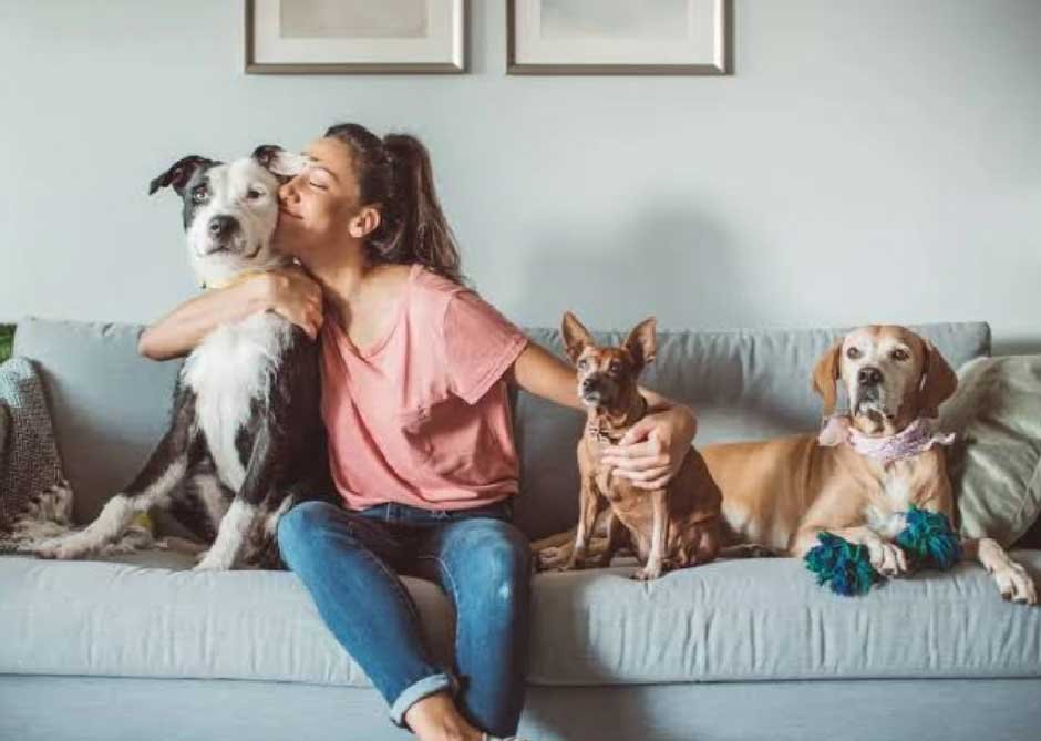 Three Types of Pet Insurance Plans
