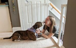 What to Do If Your Dog Has Separation Anxiety Before Boarding