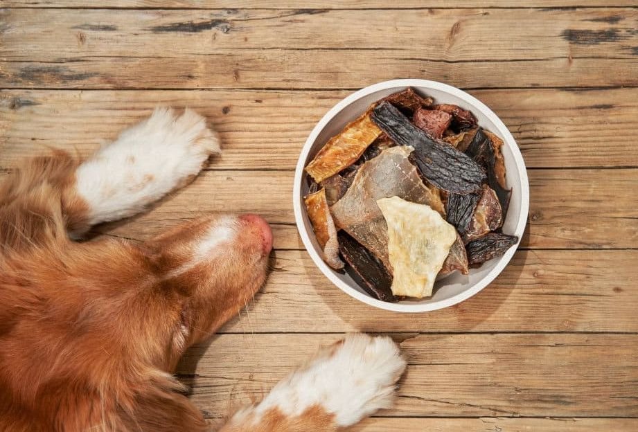 air-dried-dog-food-everything-you-need-to-know-bef-3
