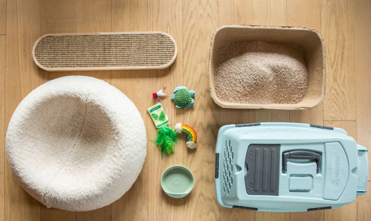 essential-cat-products-youll-need-from-day-one-1