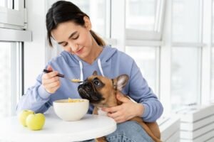how-bringing-home-a-puppy-changes-your-household-r-1