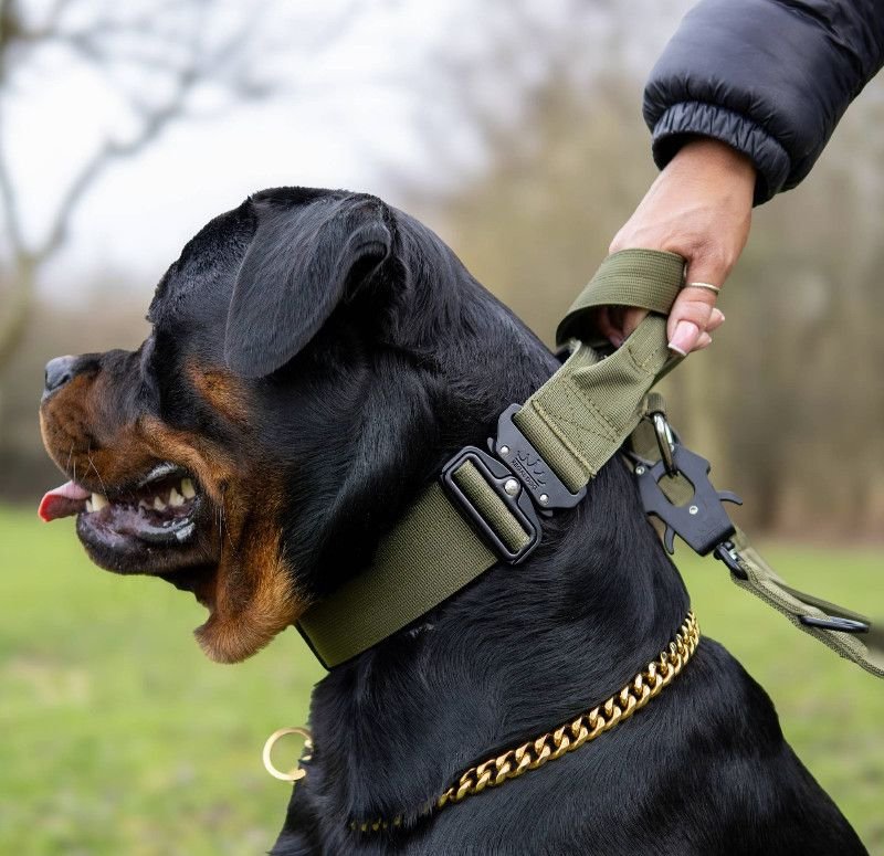 tactical-dog-collars-101-benefits-features-buying-3