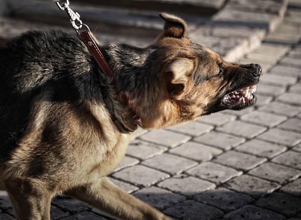 why-training-and-supervision-matter-in-preventing-1