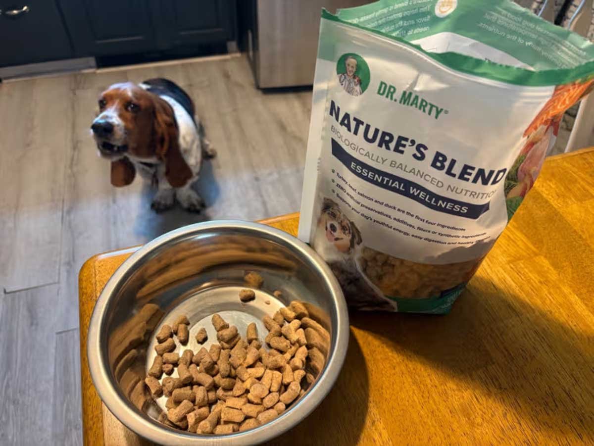 Dr. Marty Dog Food Review