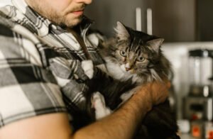 How To Avoid Huge Vet Bills Without Stressing