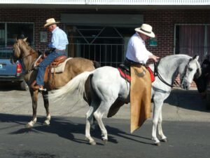 eq-saddlery-horse-riding-gear-must-have-riding-ess-1