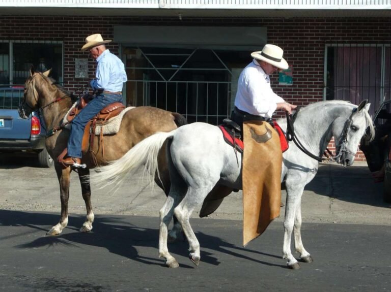 eq-saddlery-horse-riding-gear-must-have-riding-ess-1
