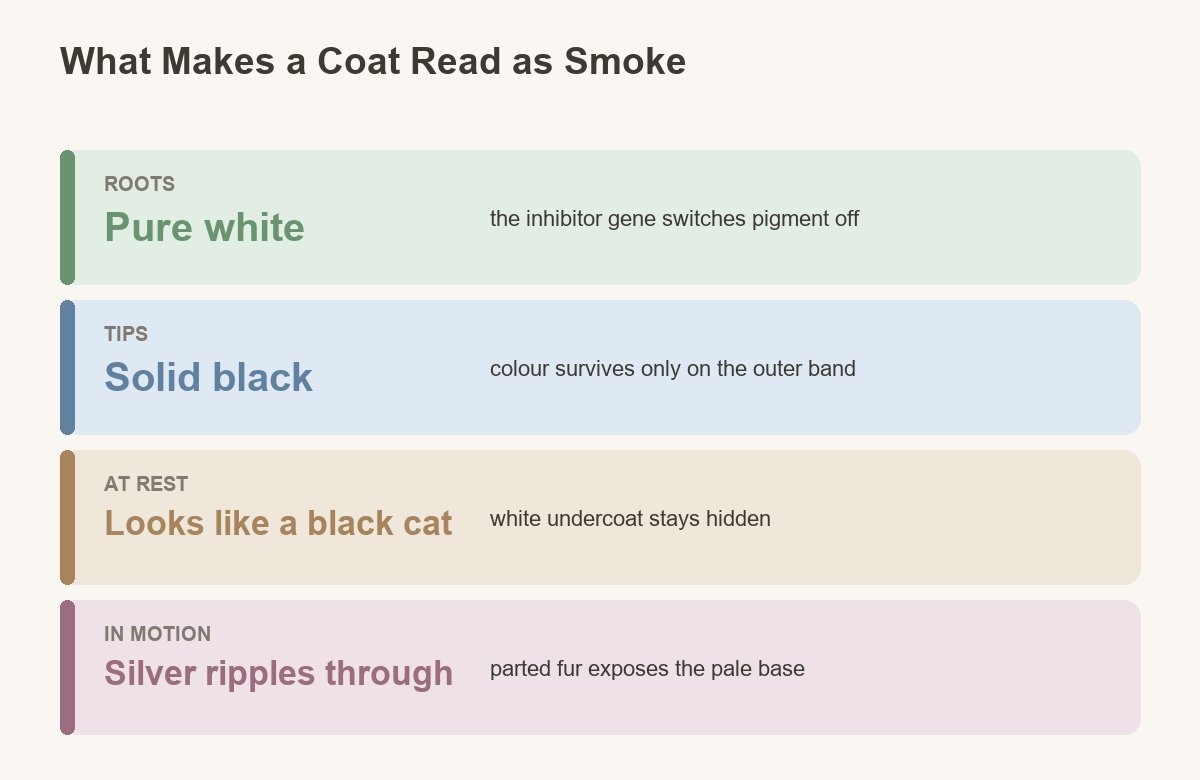 how the smoke pattern actually works