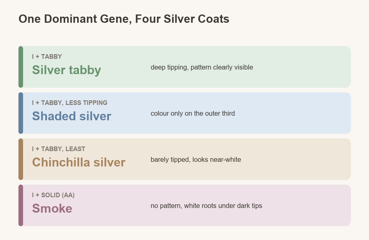 what actually makes a coat silver