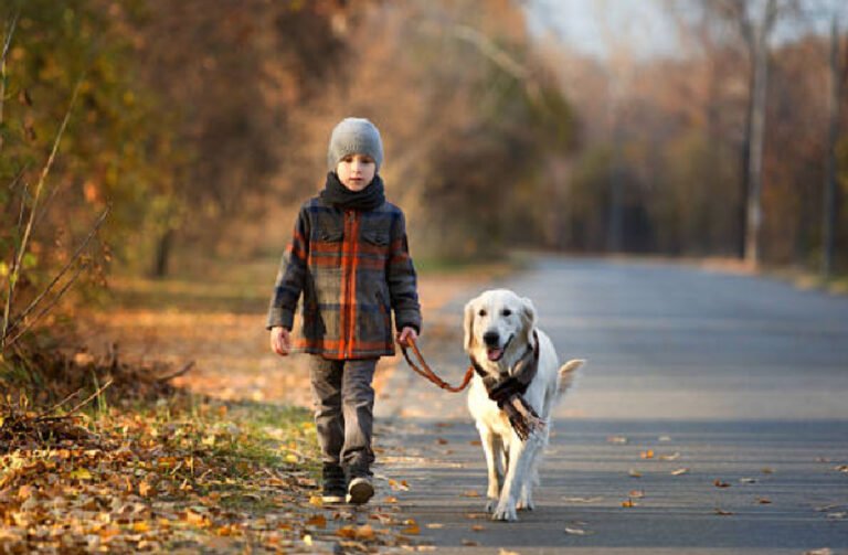 Walking the Dog Solo